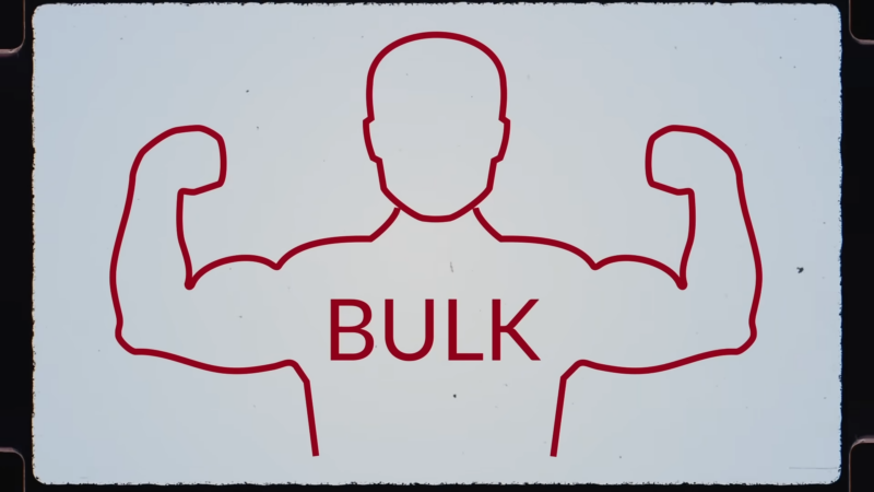 Illustration of A Muscular Figure with The Word 'Bulk' Emphasizing the Focus on Gaining Muscle Mass Effectively